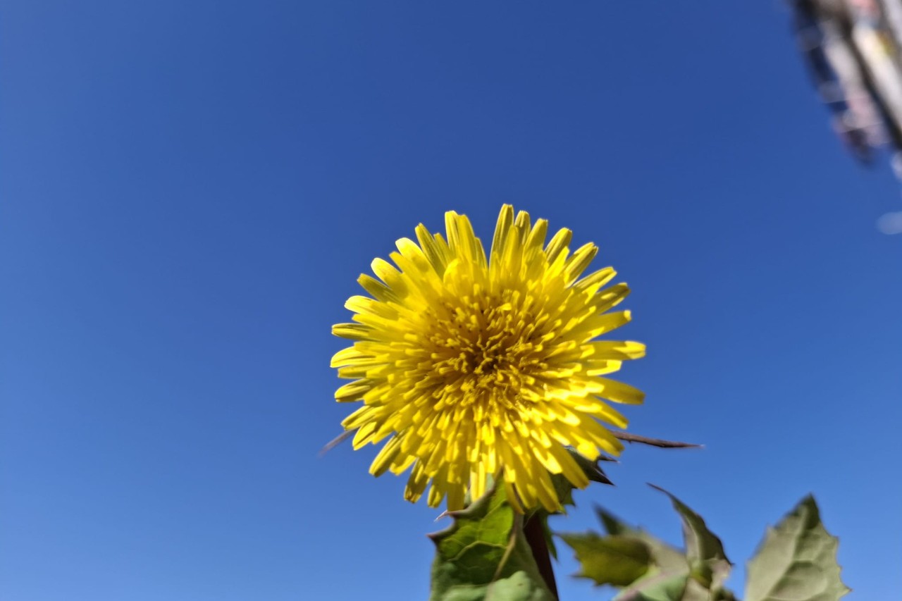 3. korizmena nedjelja A