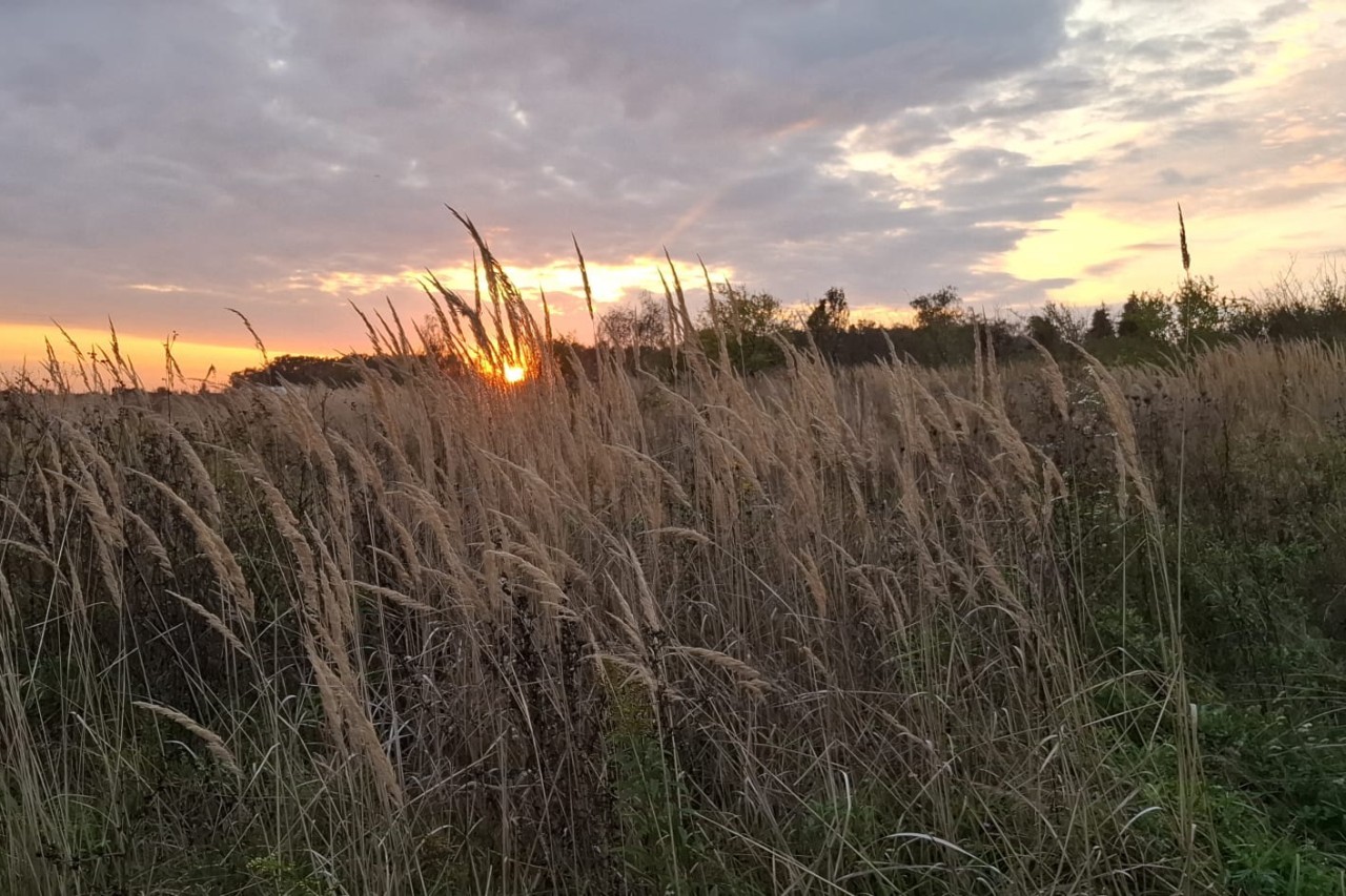 4. nedjelja kroz godinu