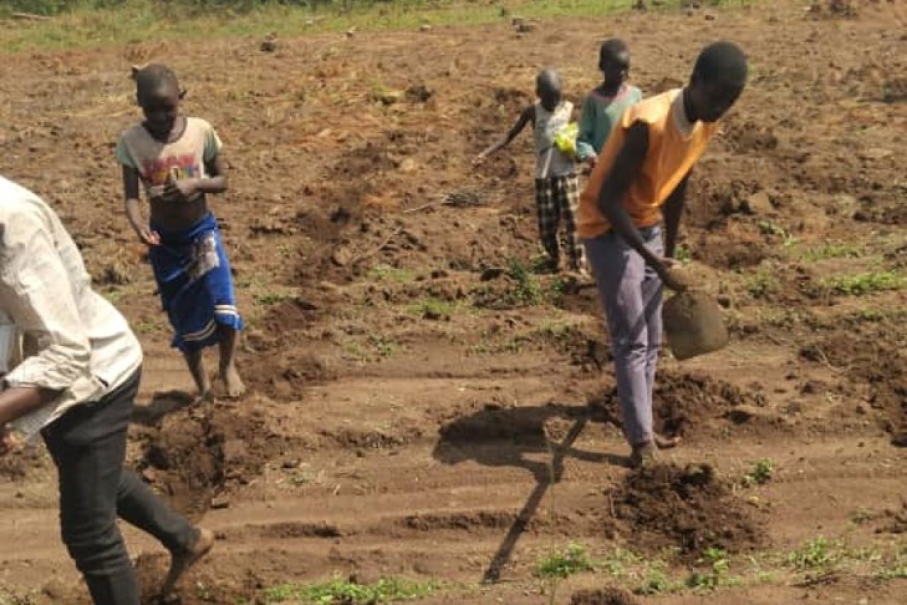 Zemlja, izvor zdravlja i blagostanja