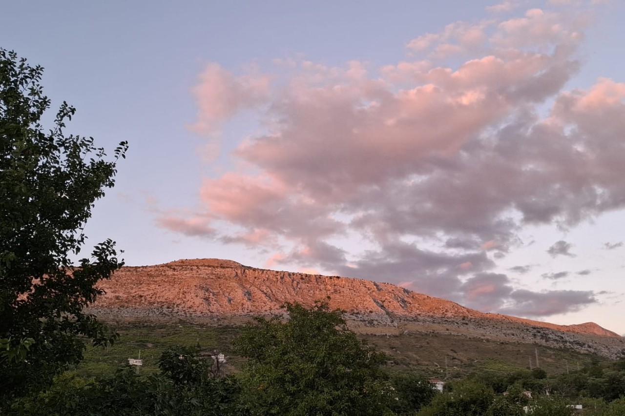 Isus Krist Kralj svega stvorenja C