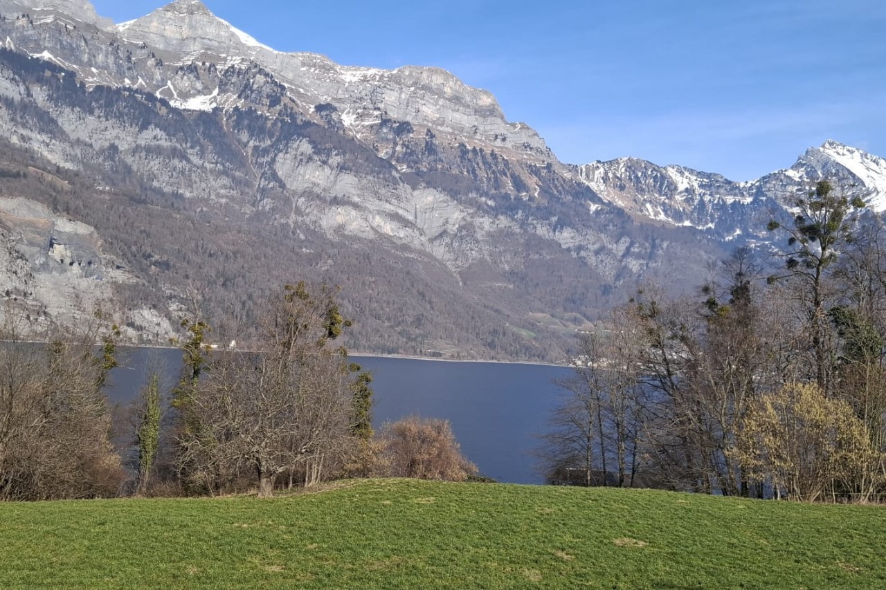 6. nedjelja kroz godinu A