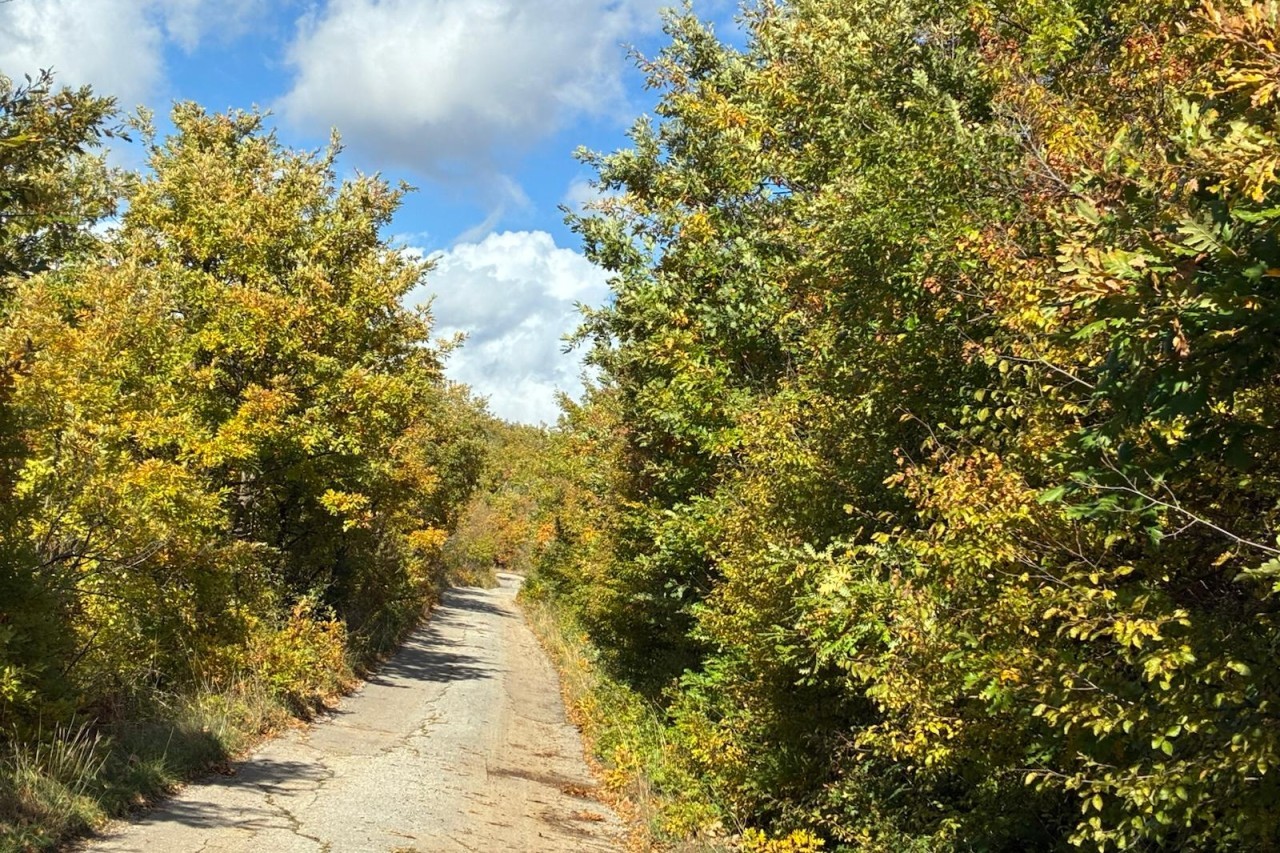 Spomen svih vjernika pokojnika