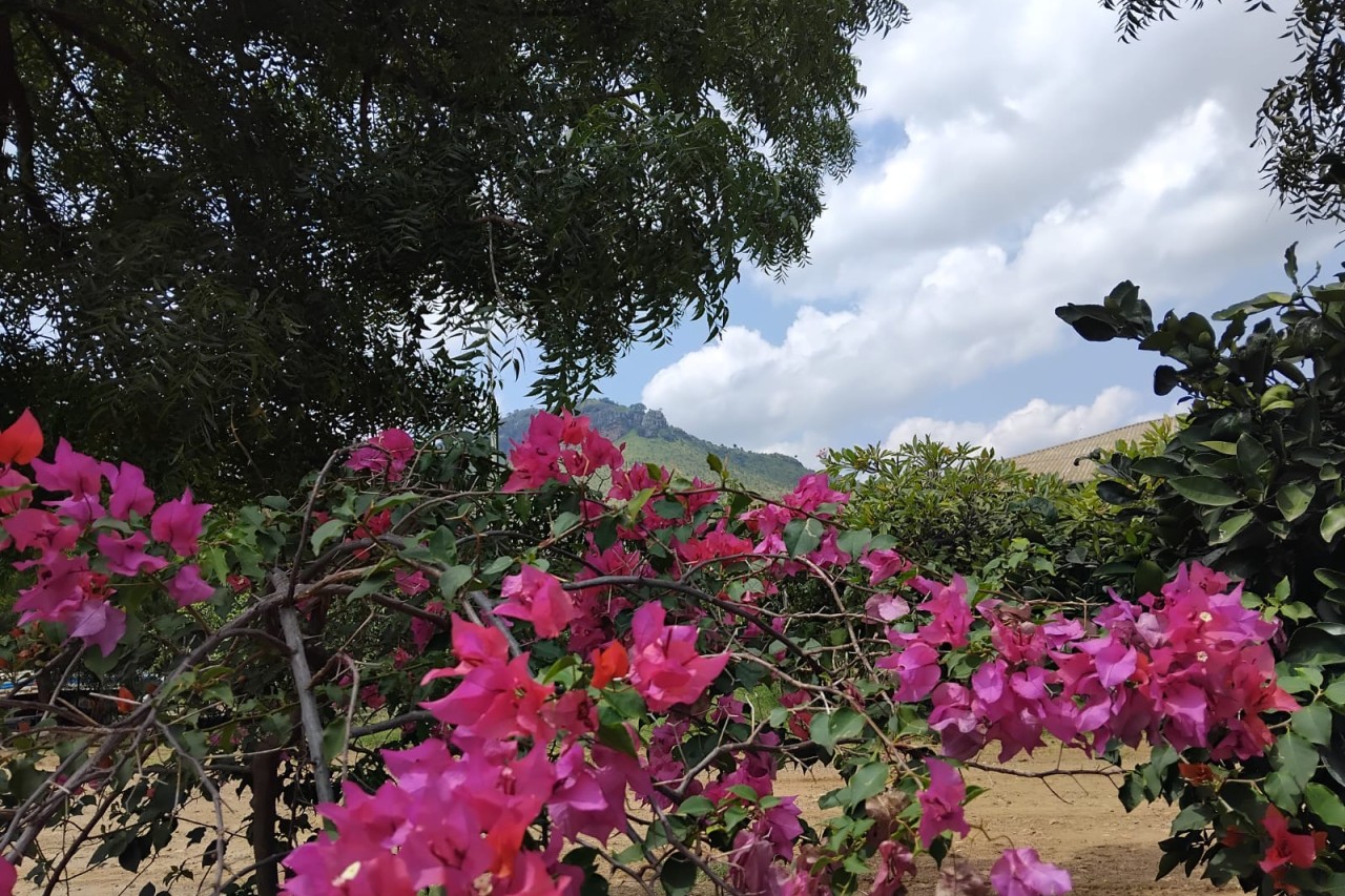 Druga nedjelja po Božiću A