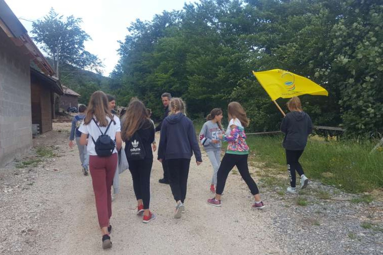 ODGOJ U SOLIDARNOSTI