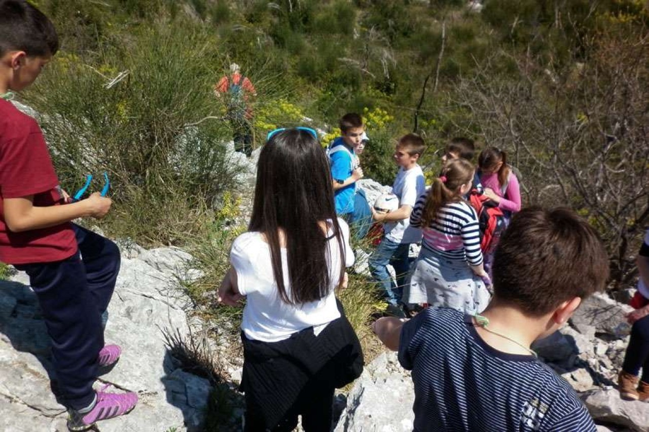 Izlet na planinu Kozjak