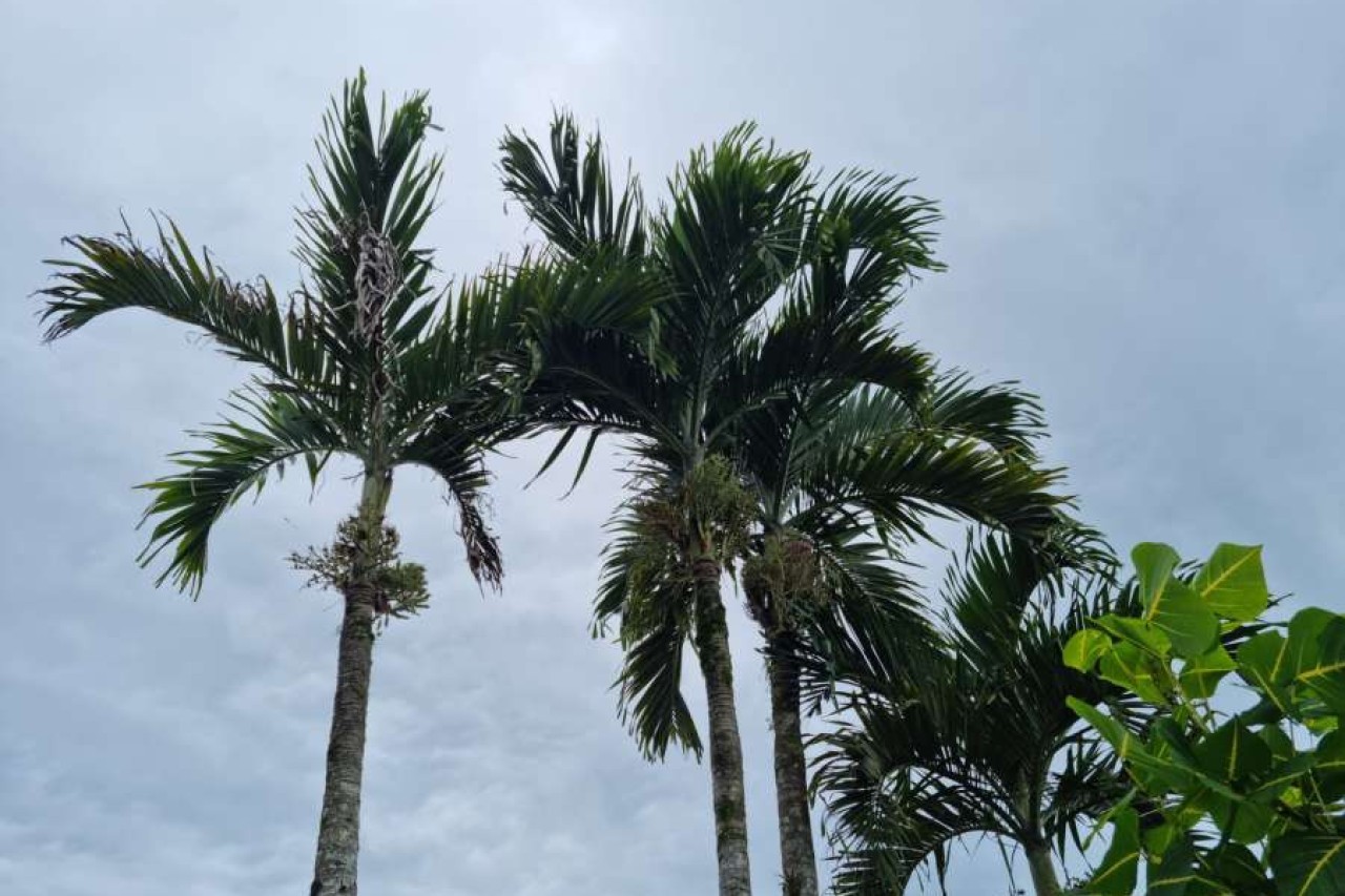 Sv. Ivan od Križa – Čišćenje volje putem ljubavi