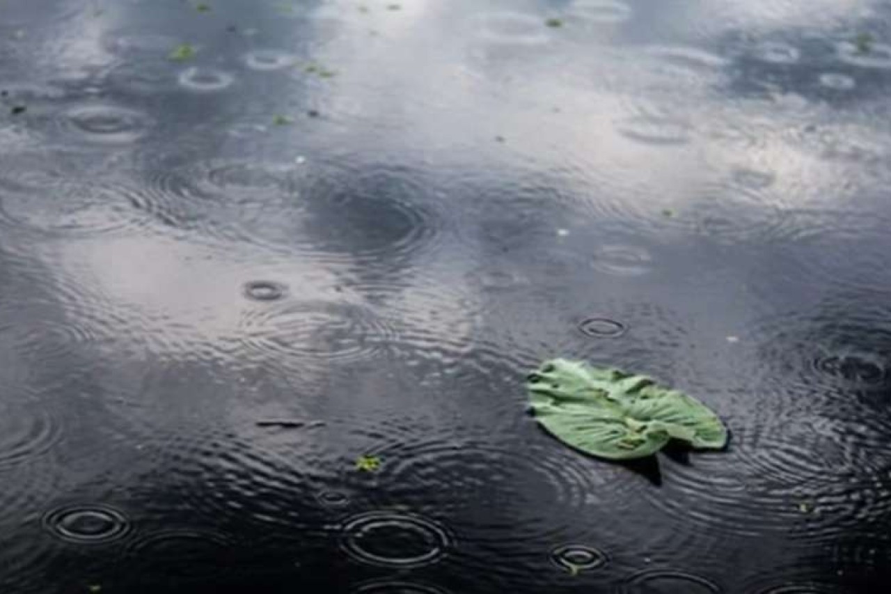 Tamna noć duše, sv. Marija Krucifiksa di Rosa, 2. dio