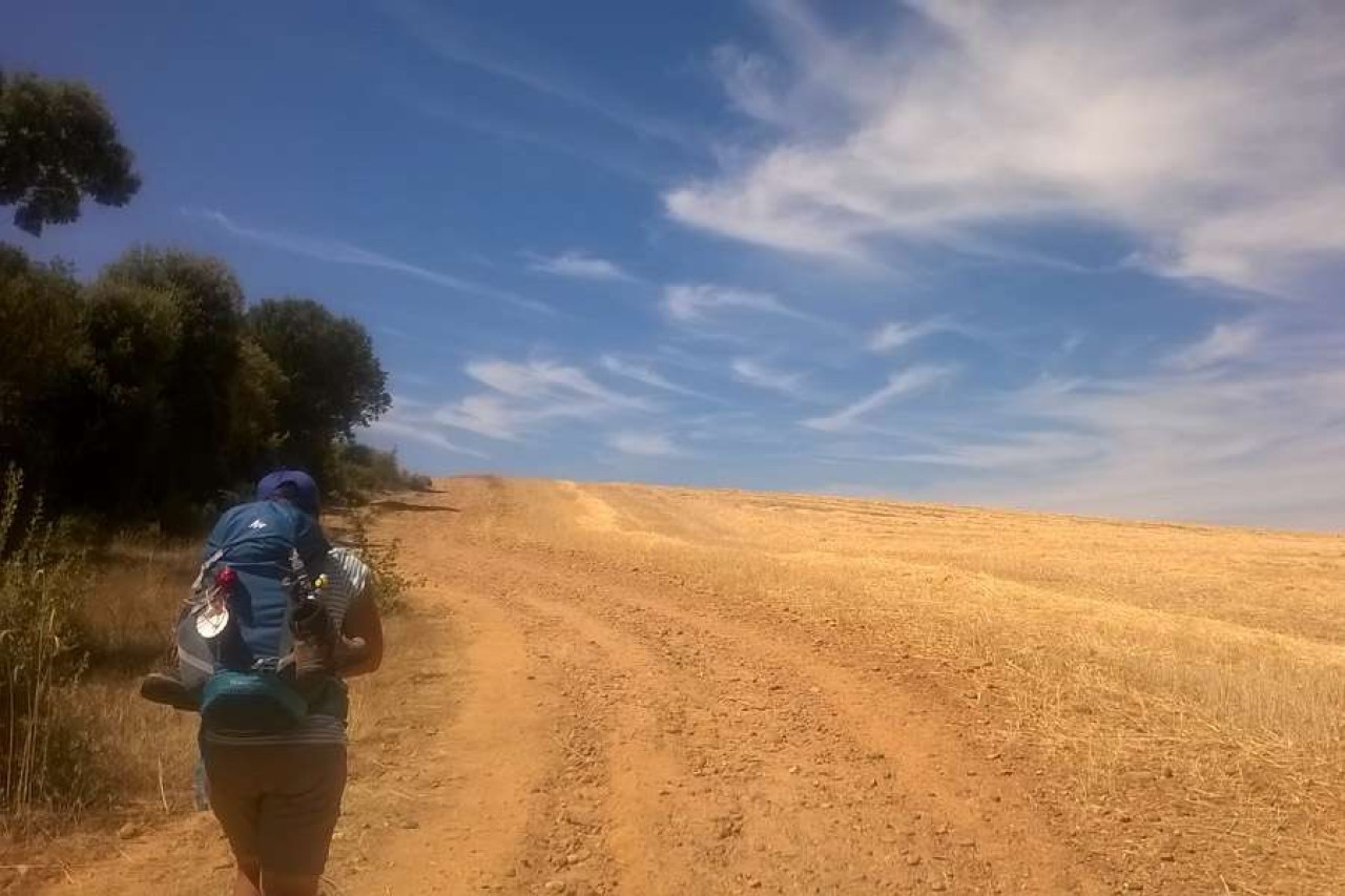 Camino de Santiago