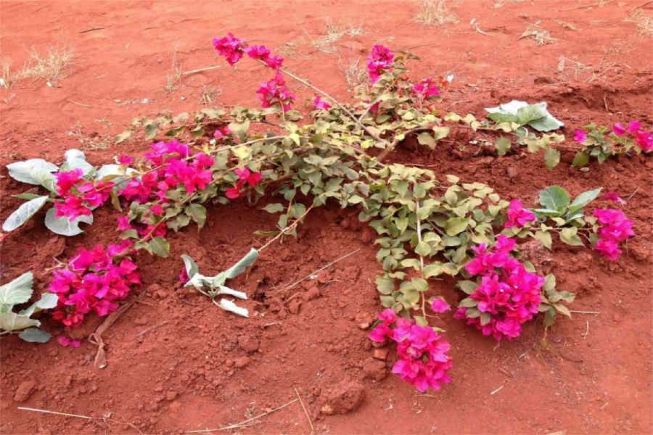 Uskrsna čestitka 2016