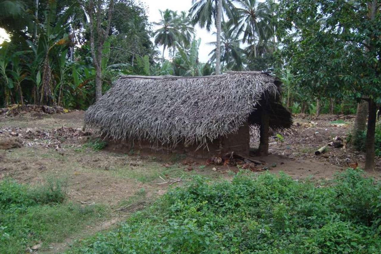 Kap dobrote za Felistu