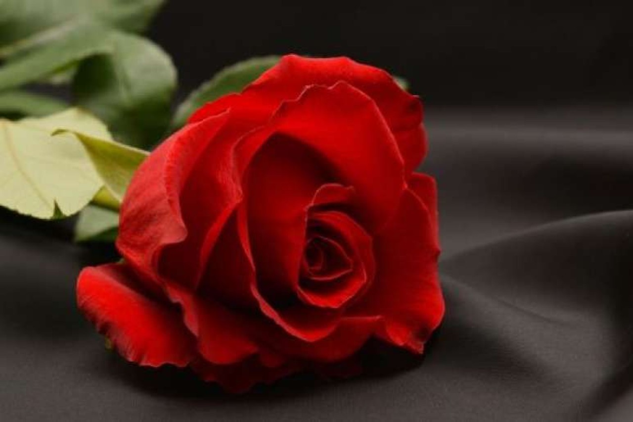 ZDENAC U RAVNOM, BiH