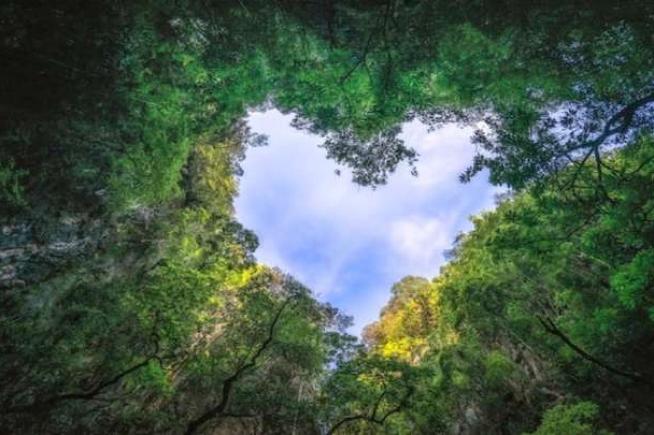 Tamna noć duše, sv. Marija Krucifiksa di Rosa, 1. dio