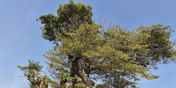 24. nedjelja kroz godinu A