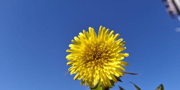 3. korizmena nedjelja A