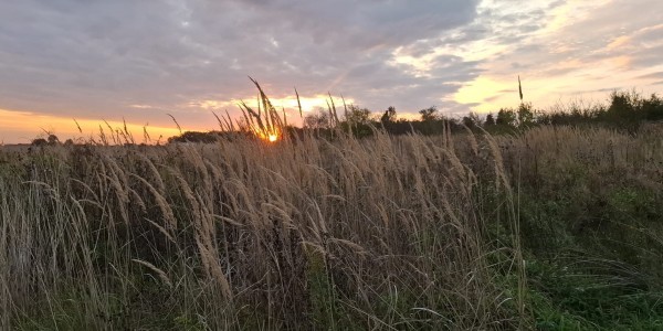 4. nedjelja kroz godinu