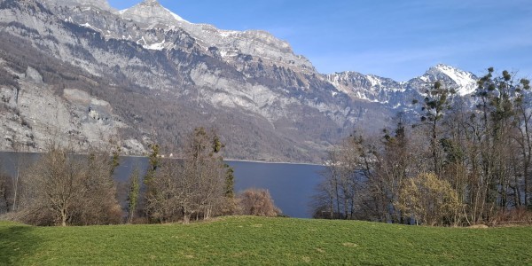 6. nedjelja kroz godinu A