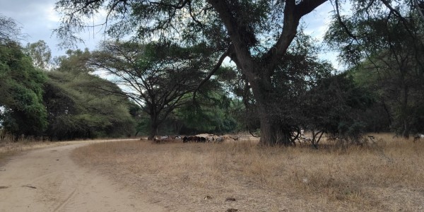 2. korizmena nedjelja A