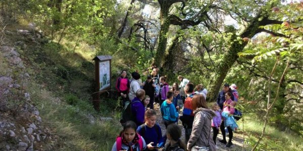 Odgoj u solidarnosti kod sv. Leopolda