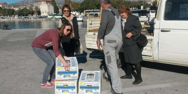 Gospođa Lucija, naša dugogodišnja suradnica