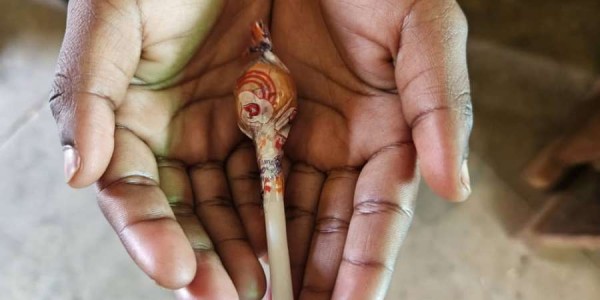 Ne sjećam se kada sam vidjela ovoliko sreće radi jednog običnog papirića kojim je omotan bonbon