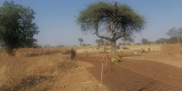 Moja Afrika 2. dio