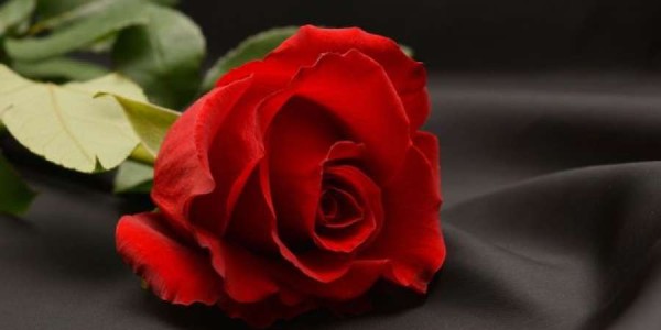 ZDENAC U RAVNOM, BiH