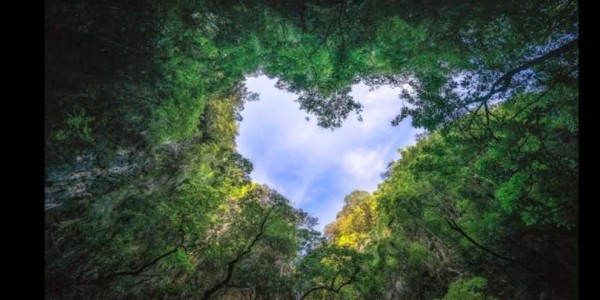 Tamna noć duše, sv. Marija Krucifiksa di Rosa, 1. dio