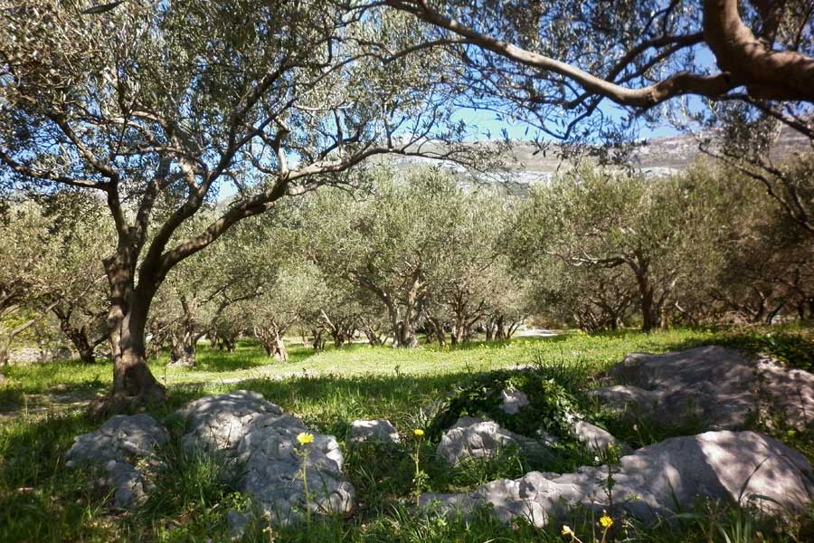 Rado iščekivani izlet na Malačku