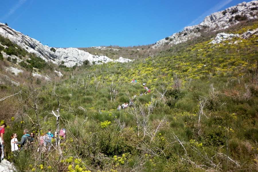 Rado iščekivani izlet na Malačku