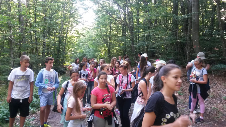 3. ljetna misijska škola