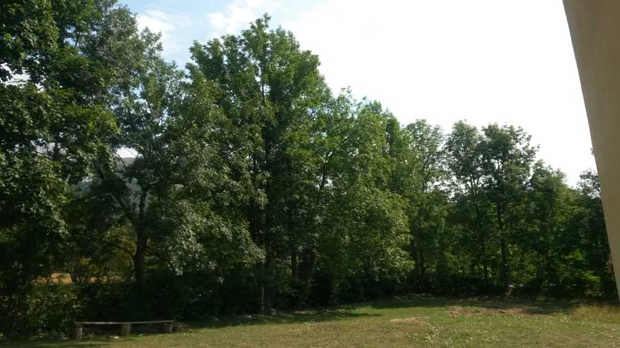 Ljetna misijska škola